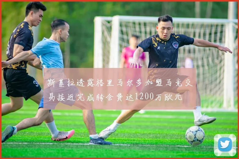 斯基拉透露格里马尔多加盟马竞交易接近完成转会费达1200万欧元